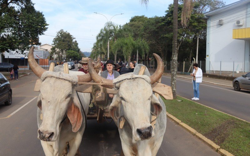 Colonos levaram carretas de bois, tratores e implementos agrícolas para a avenida em Igrejinha