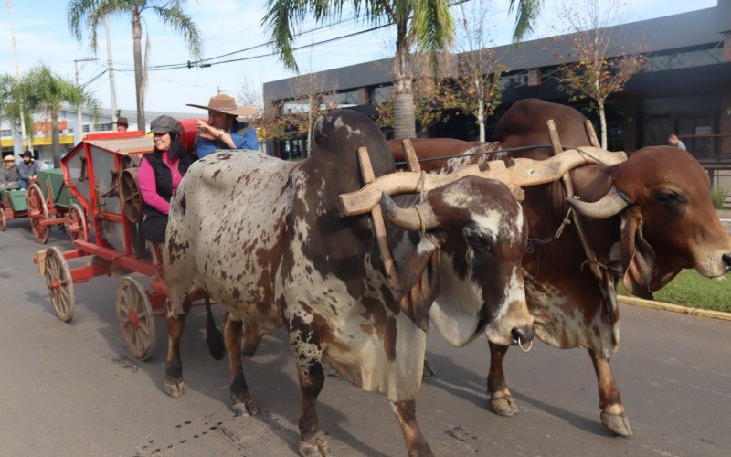 Colonos levaram carretas de bois, tratores e implementos agrícolas para a avenida em Igrejinha