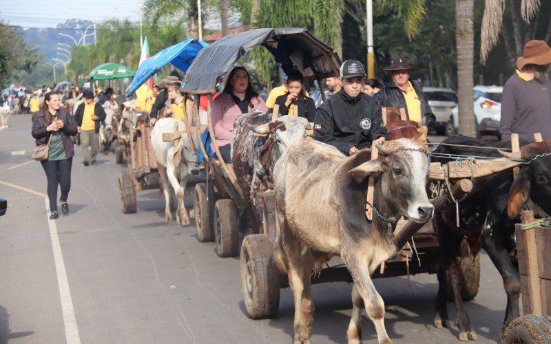 Colonos levaram carretas de bois, tratores e implementos agrícolas para a avenida em Igrejinha | abc+