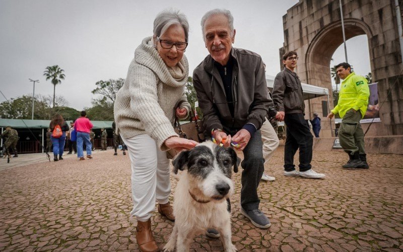 Primeiro animal a ser adotado na feira foi um cão