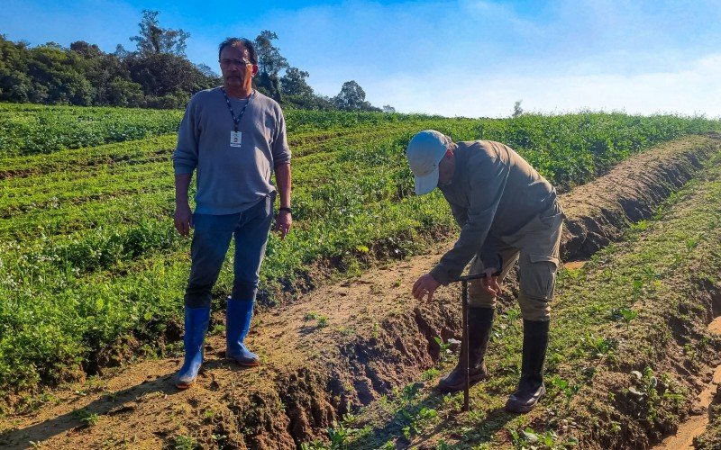 Pesquisadores visitaram propriedades nos bairros Caju e Granja Nenê