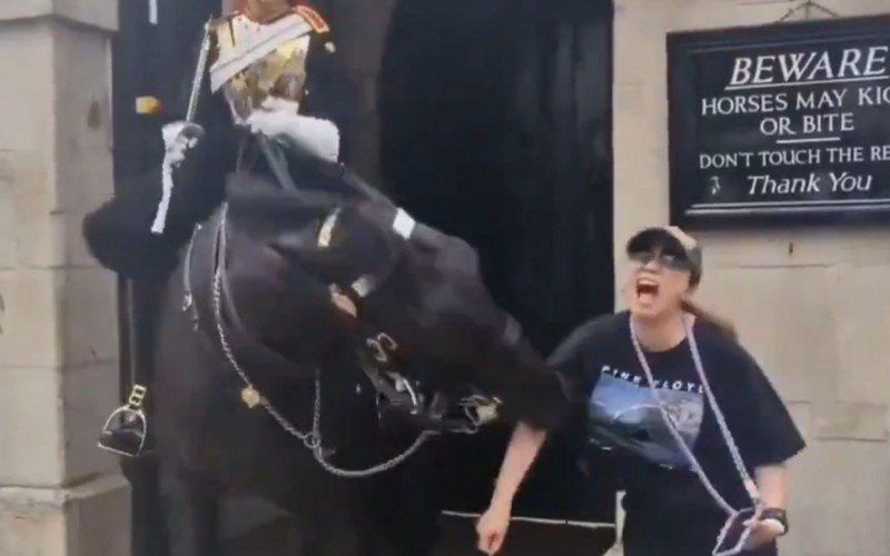 Turista é mordida por cavalo da Guarda Real de Londres | abc+