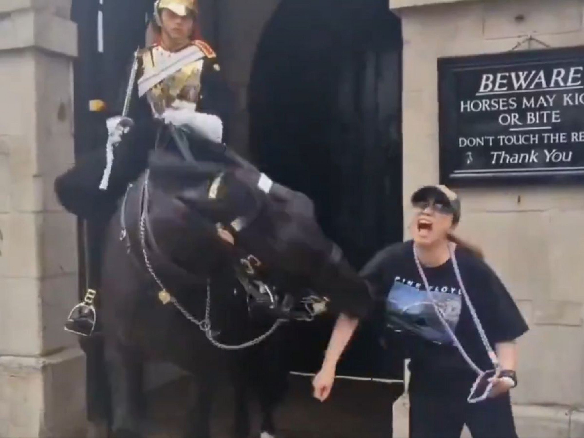 VÍDEO: Turista é mordida por cavalo da Guarda Real de Londres