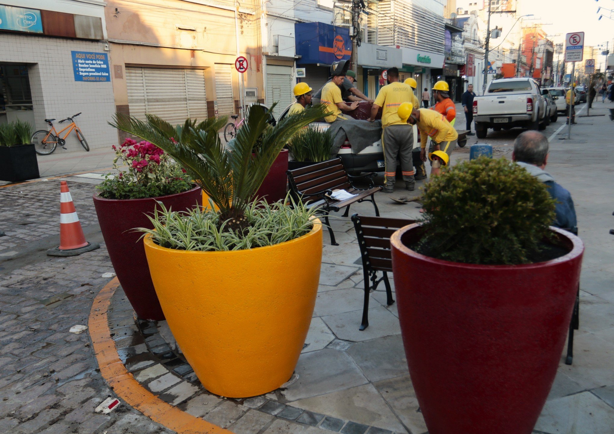 Trecho revitalizado da Rua Independência começa a receber plantas decorativas