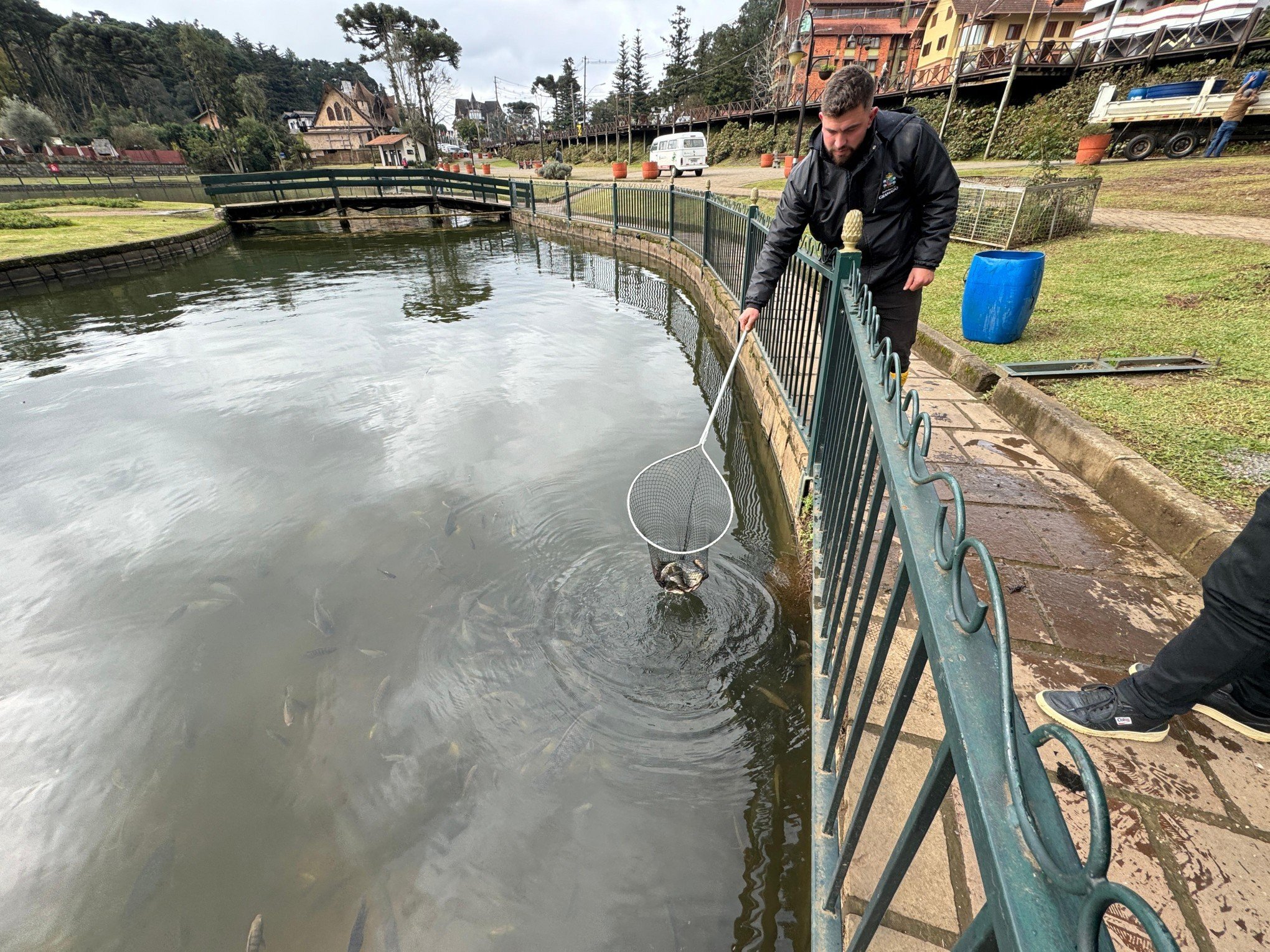 Peixes são encontrados mortos após transferência de lago em Gramado; Prefeitura emite comunicado