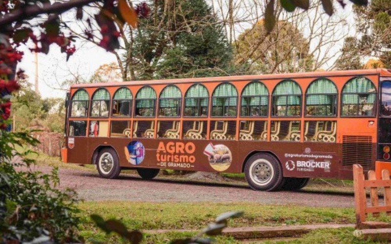 Passeios são realizados em jardineira e saem da Praça das Etnias