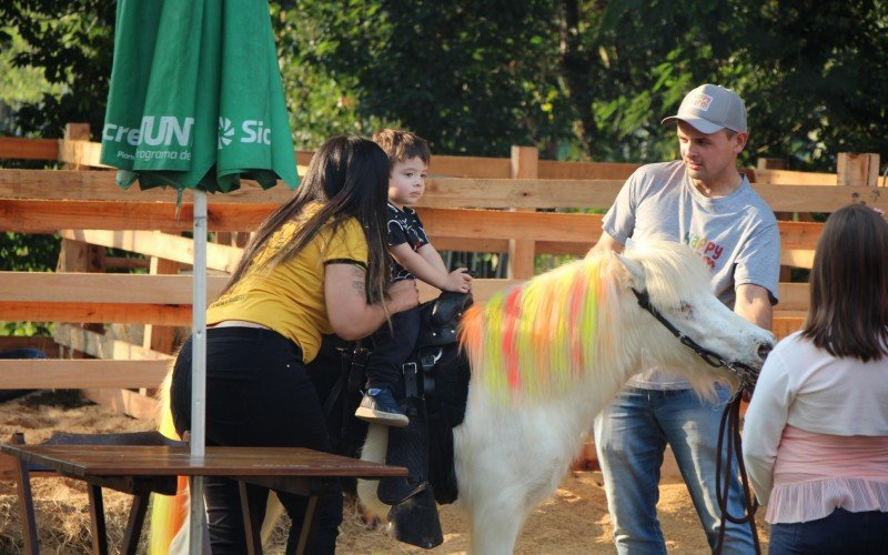 Passeio de pônei para a criançada