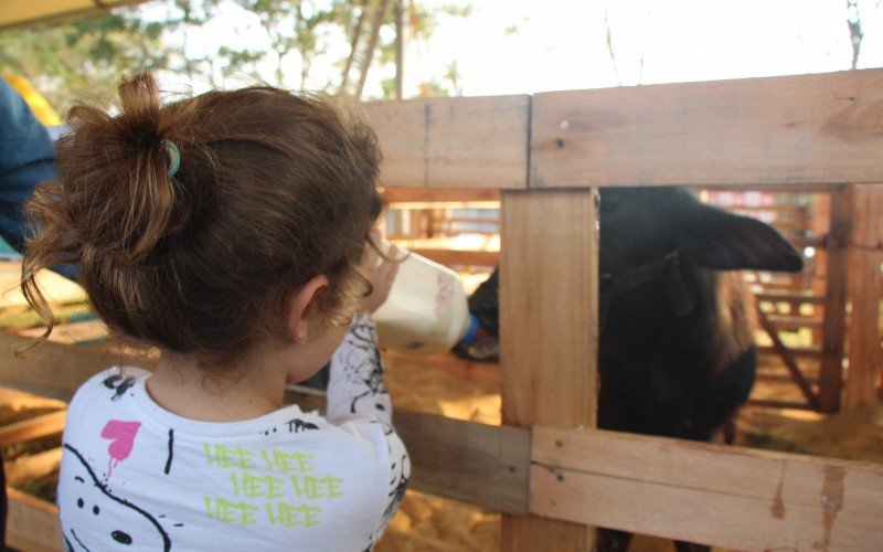 Crianças puderam alimentar os animais