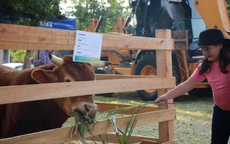 Crianças puderam alimentar os animais