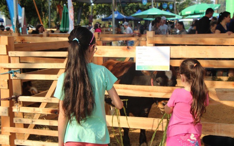 Crianças puderam alimentar os animais