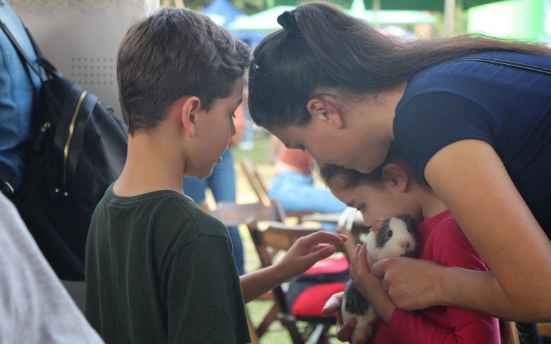 Abraços e carinho aos animais