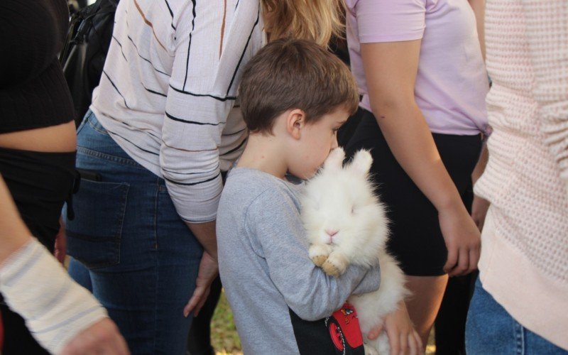 Abraços e carinho aos animais