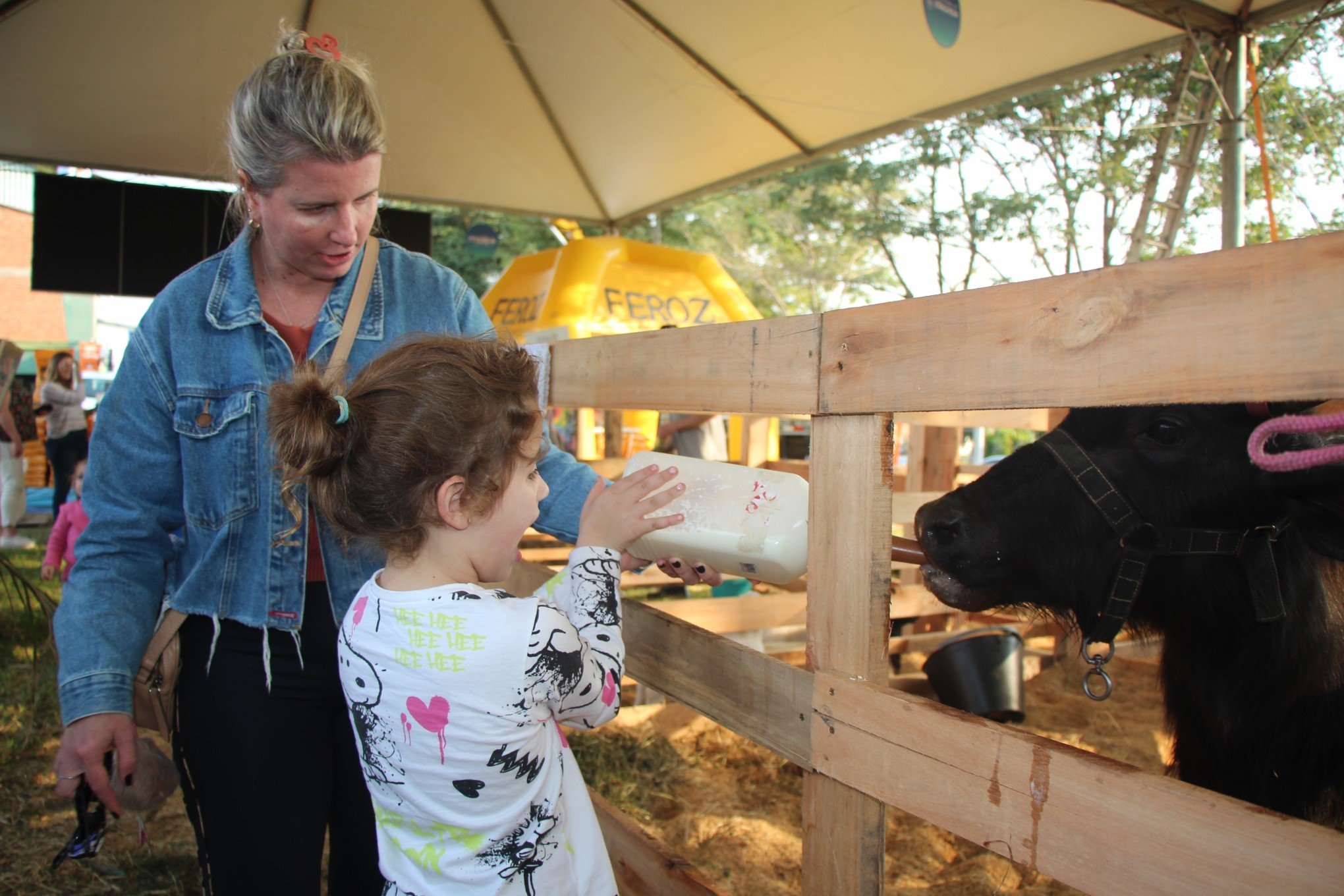 Rural Fest de Estância Velha encanta a criançada com experiências no mundo do campo