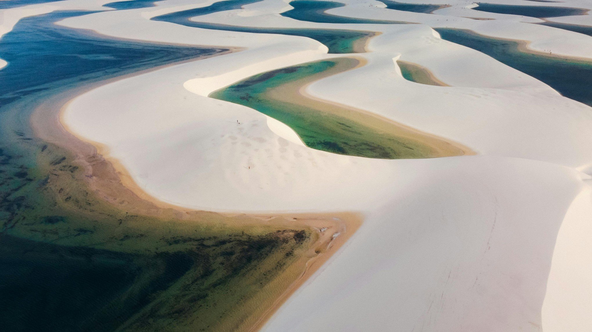 Maior campo de dunas da América do Sul fica no Brasil e é declarado Patrimônio da Humanidade