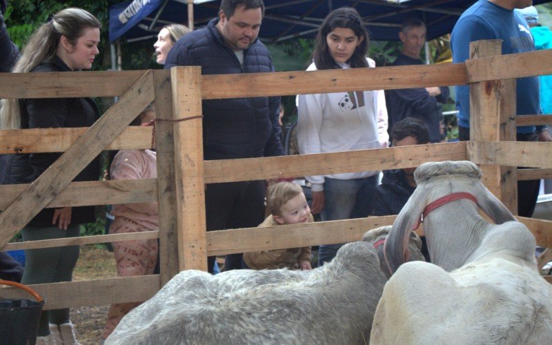 Último dia de Rural Fest 2024