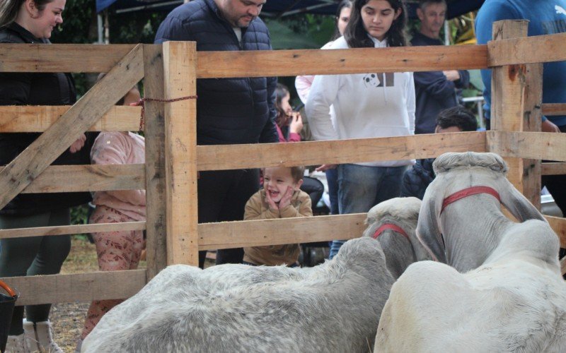 Último dia de Rural Fest 2024