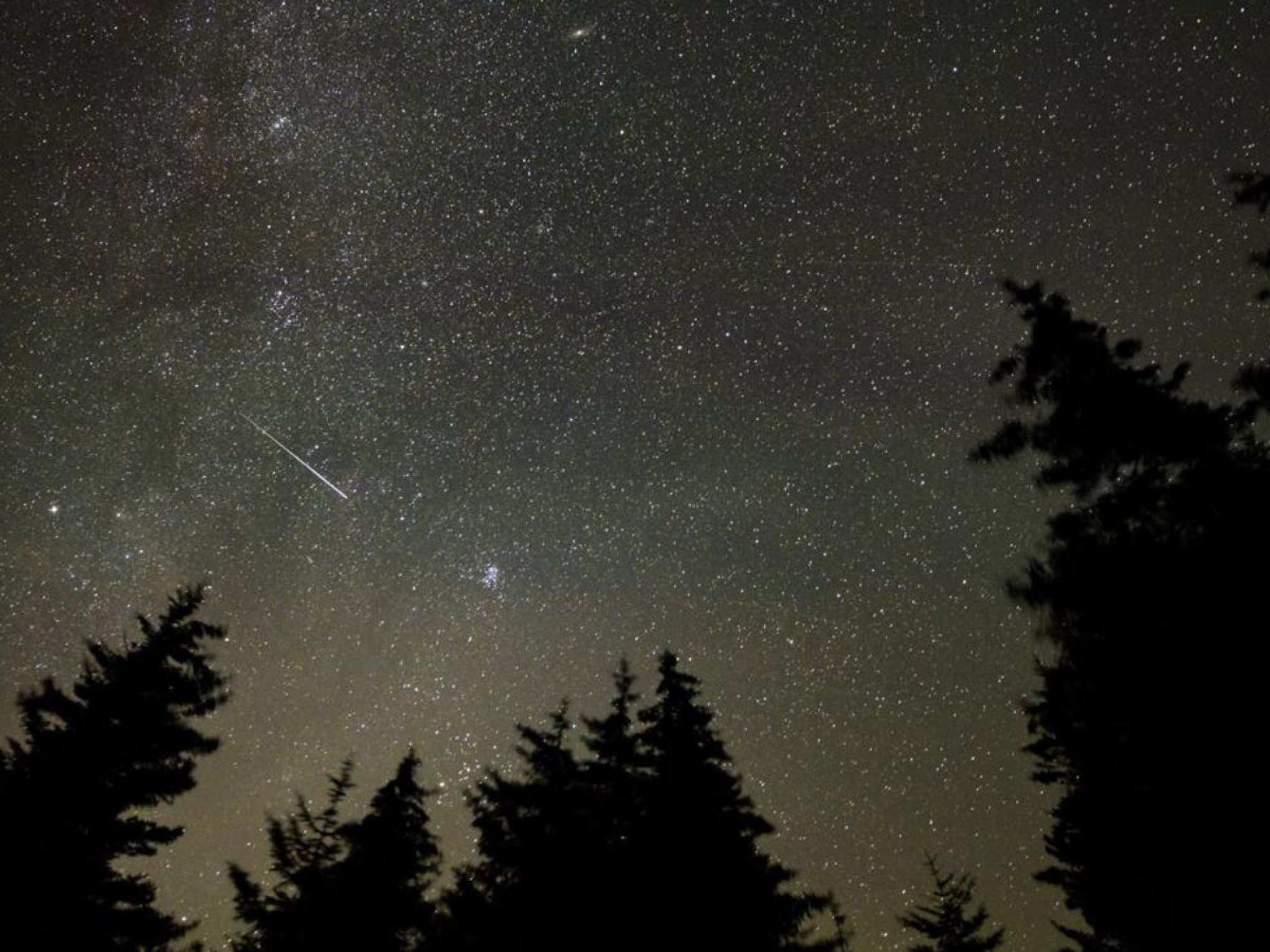 Como assistir a chuva de meteoros que atinge o pico nesta terça-feira