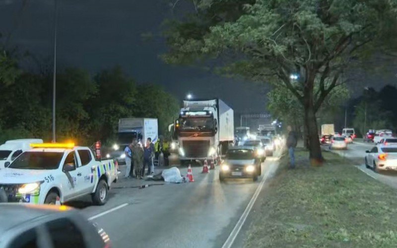 Égua de R$ 1 milhão é atropelada no Rio de Janeiro; animal pertencia ao Exército | abc+