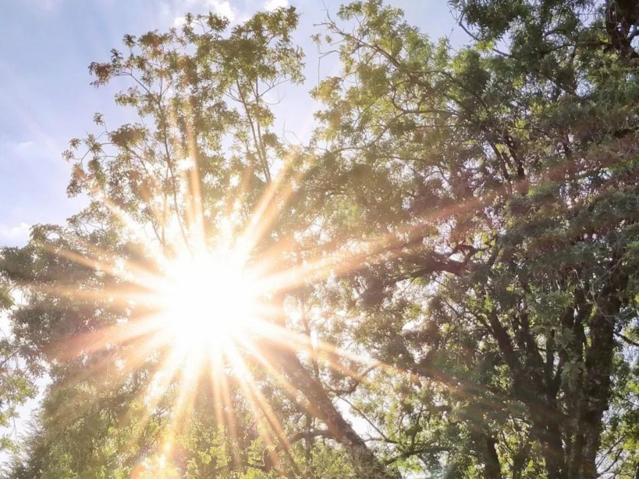 Tempo firme e calor de 30ºC? Saiba o que esperar nesta quarta-feira no RS