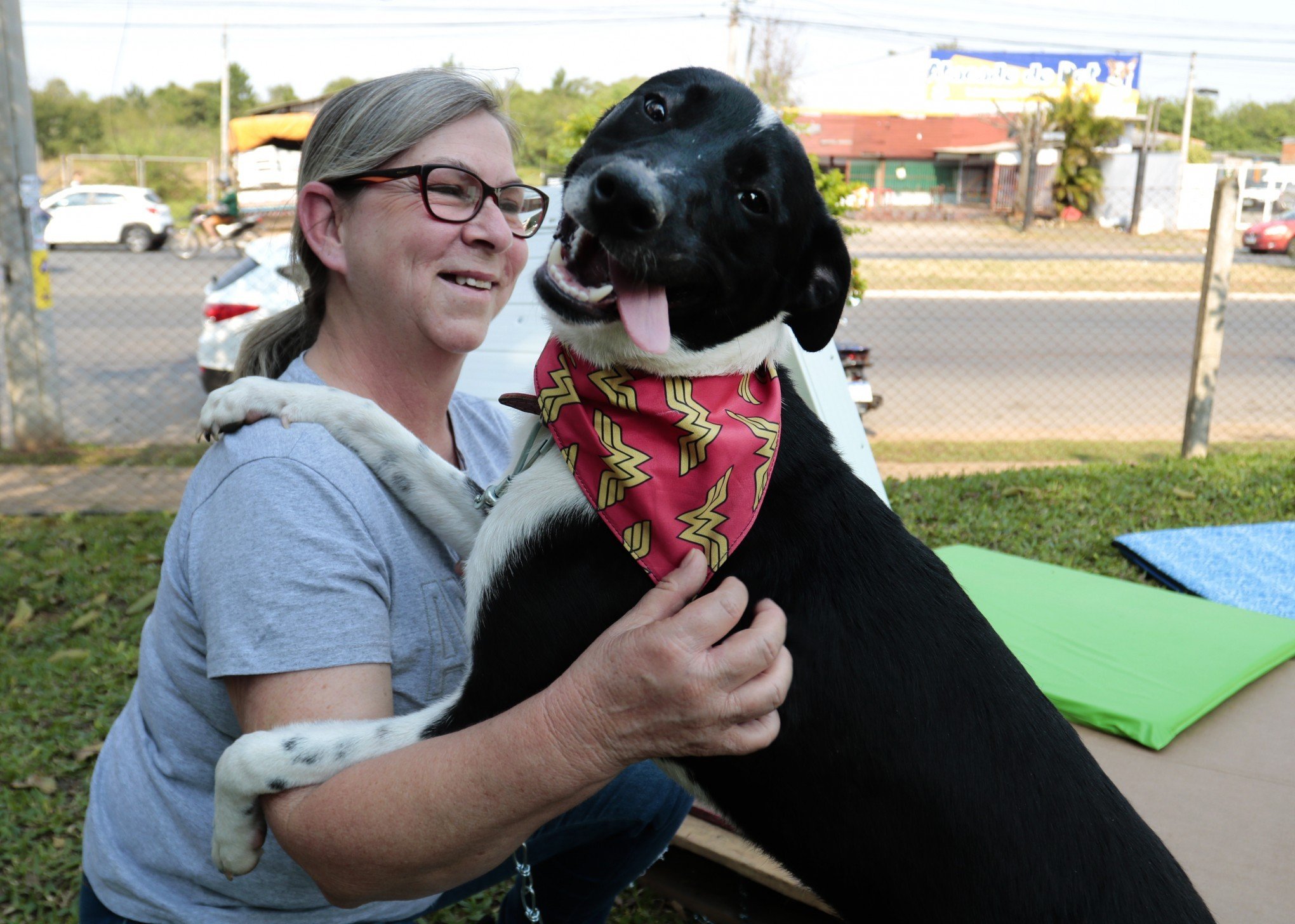 Em feira de adoção, 16 animais resgatados ganham novos lares