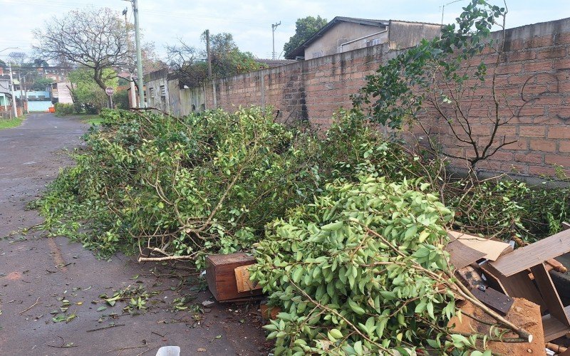 Moradores pedem solução para a quantidade de lixo acumulado na Rua Juarez 