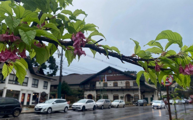 Chuva em Gramado nesta terça-feira