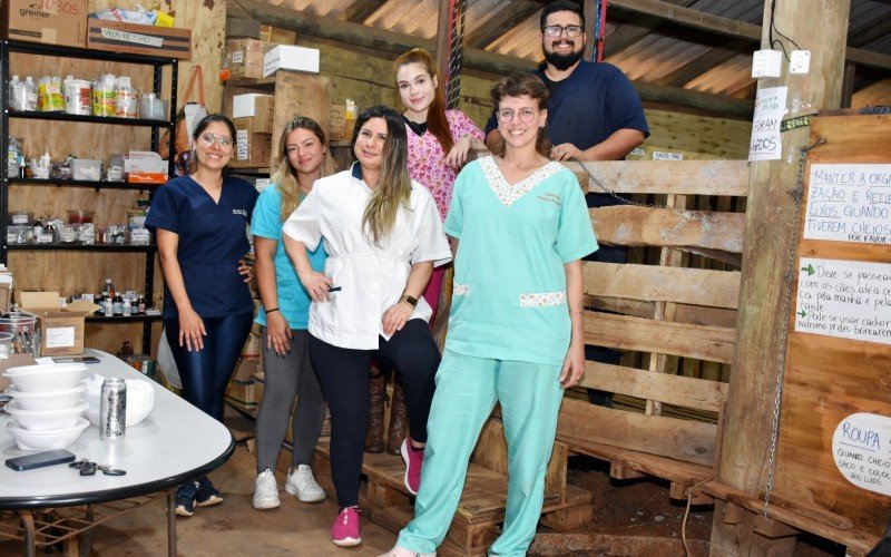 Veterinários e estudantes cuidam dos cães com cinomose em galpão no bairro São José