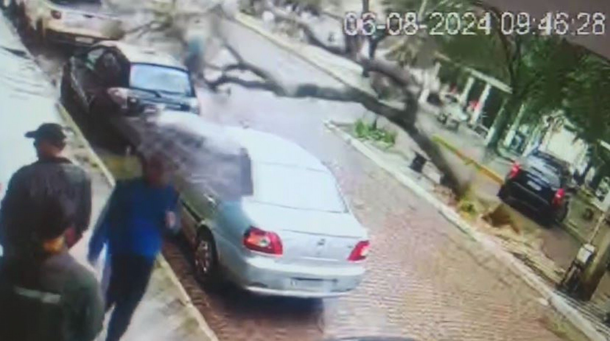 VÍDEO: Árvore cai sobre moradores que caminhavam no centro de cidade do RS