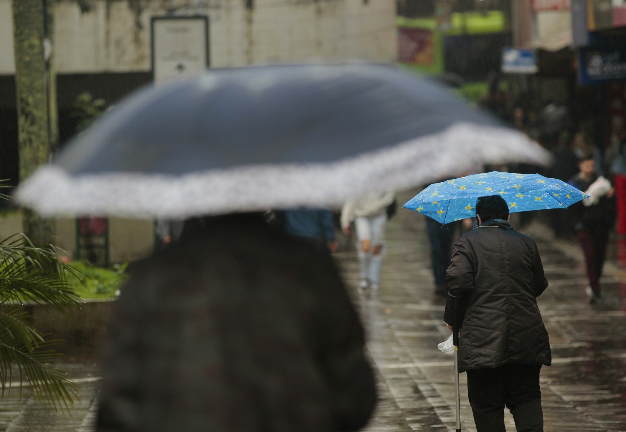 PREVISÃO DO TEMPO: Massa de ar frio ganha força e RS deve ter geada nos próximos dias