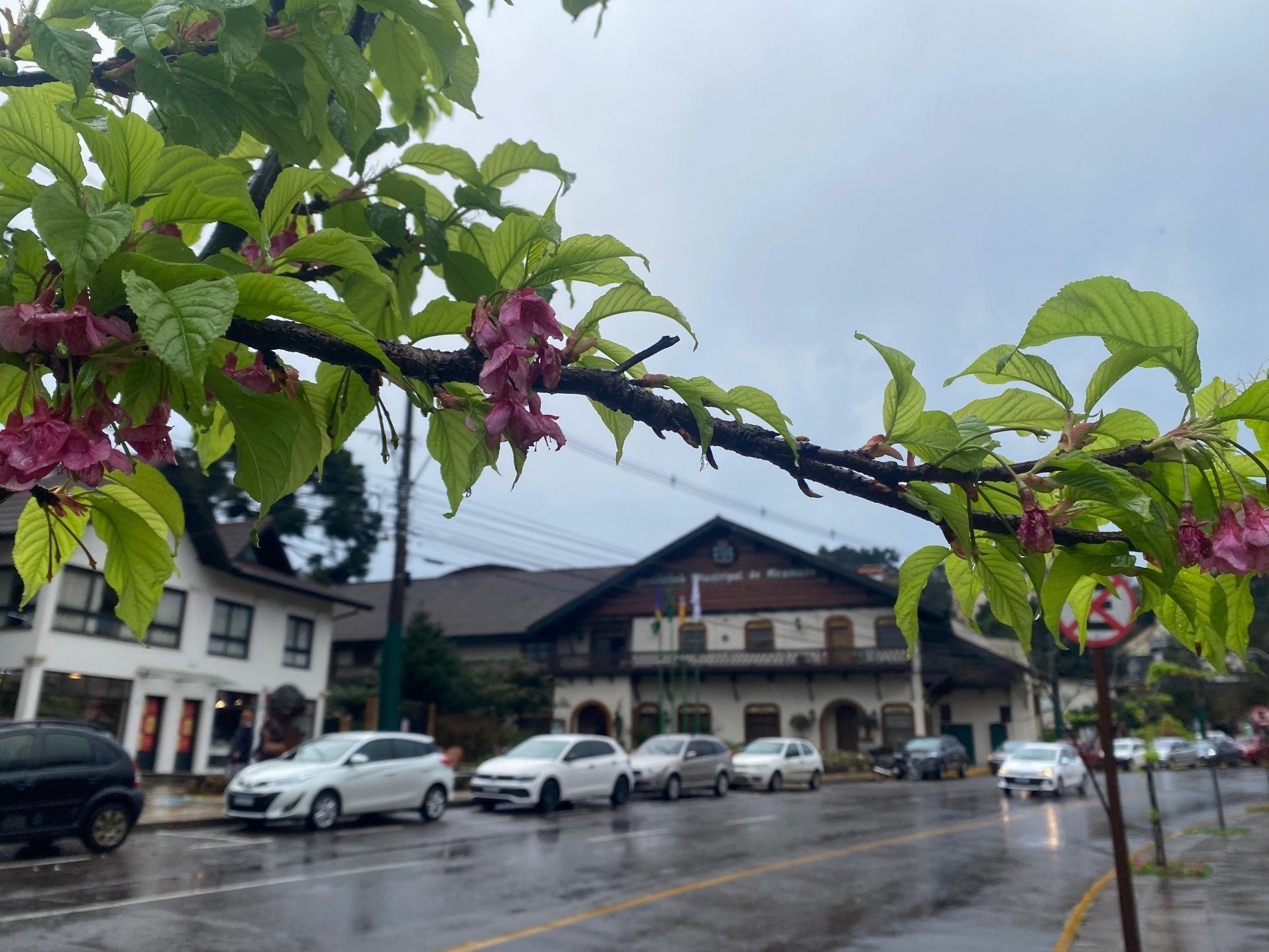 Terça-feira terá pancadas de chuva e calor à tarde em Gramado; confira previsão