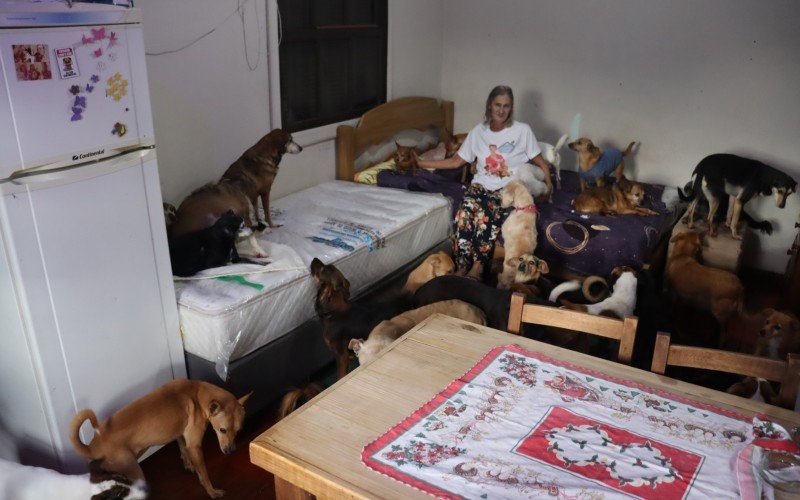 Com animais por toda casa, Adelaide cedeu seu quarto e agora sua cama fica na cozinha