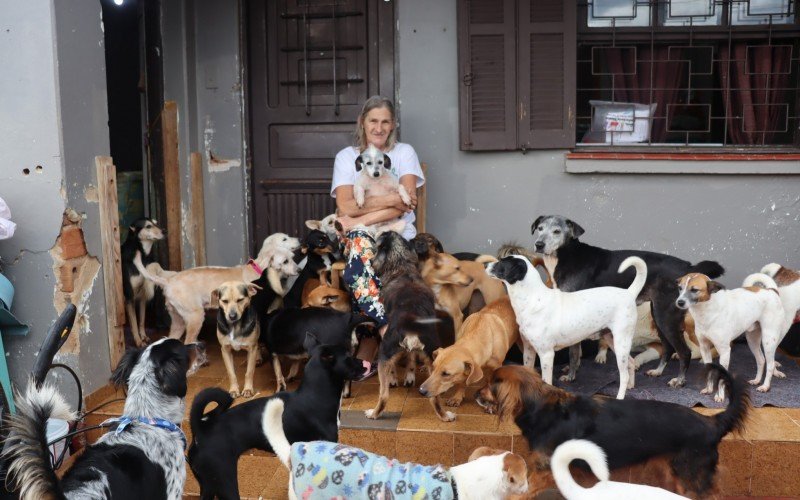 Adelaide pede ajuda para adquirir novo espaço para acomodar os mais de 150 cães do Abrigo Anjos Peludos