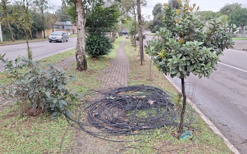 Fios de telefone e internet foram recolhidos pela prefeitura após ABC nas ruas passar pelo local | abc+