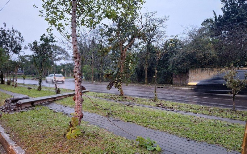 Poste de concreto derrubado em acidente de trânsito ficou uma semana atravessado no caminhódromo | abc+