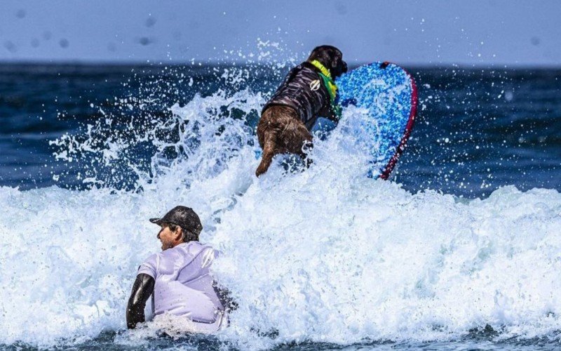 Cacau ganhou o Campeonato Mundial de Surfe para Cachorros de 2024