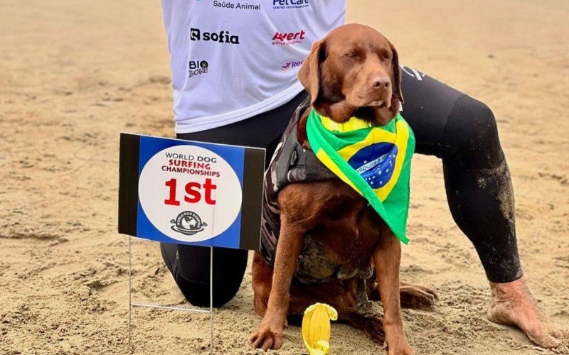 Cacau ganhou 5 medalhas ao todo, sendo 3 de ouro e uma de melhor cachorra no surf do mundo | abc+