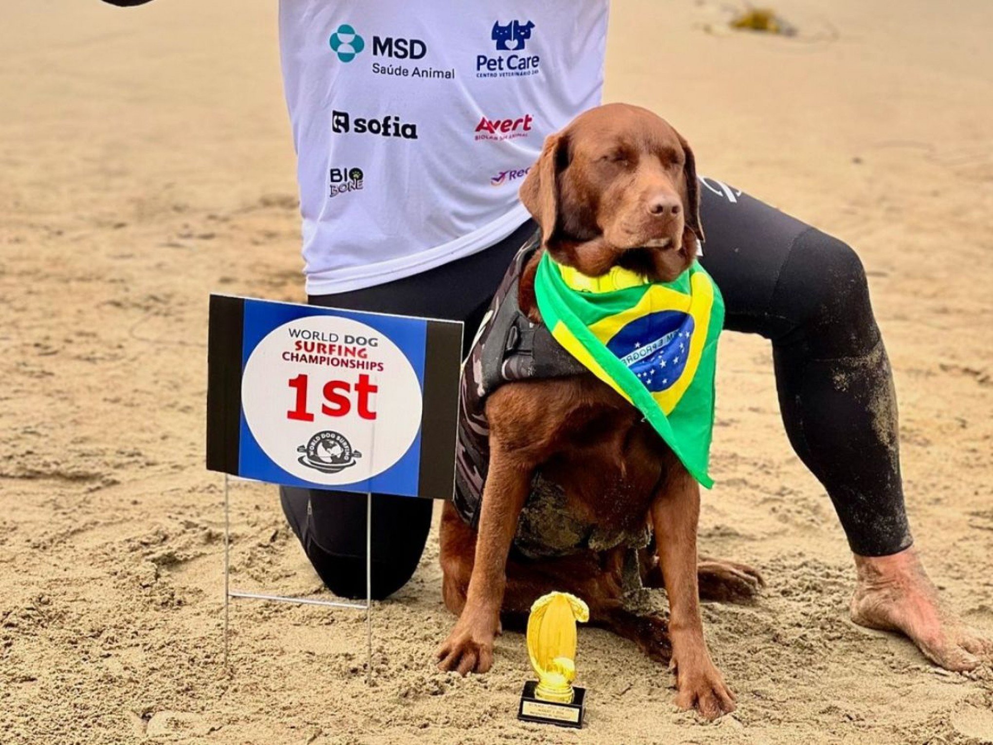 FOTOS: Conheça a história de Cacau, a cadela campeã do Mundial de Surfe para Cachorros