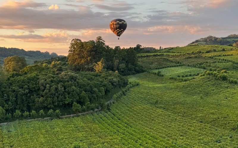 Voo de balão sobre o Vale dos Vinhedos