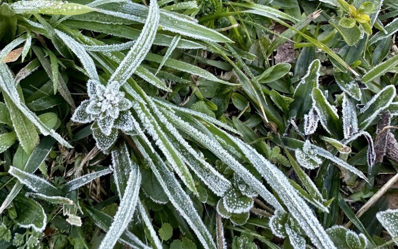 Geada em Gramado, frio, inverno