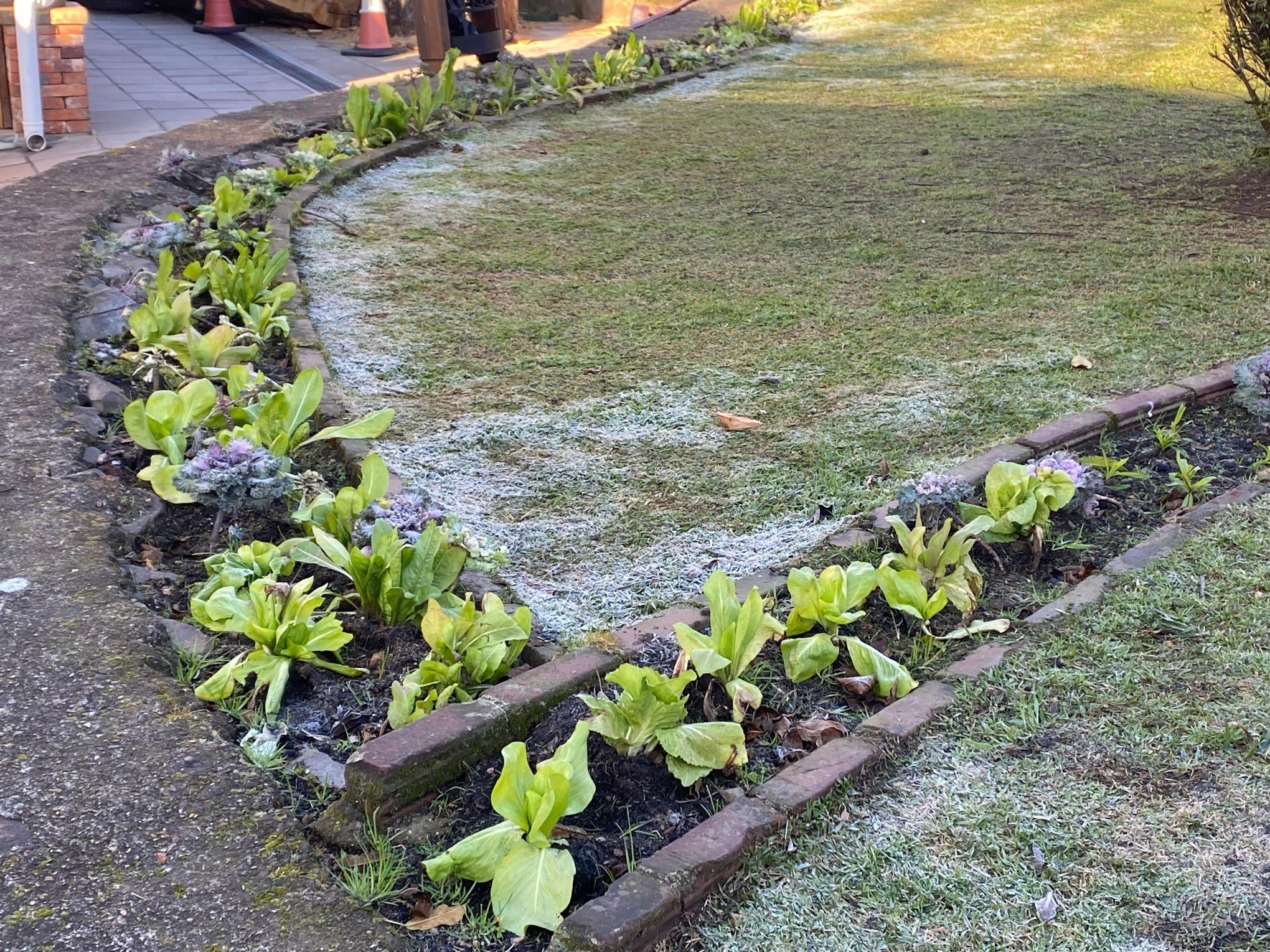 Quarta-feira tem amanhecer ameno na Serra com novo registro de sensação térmica negativa