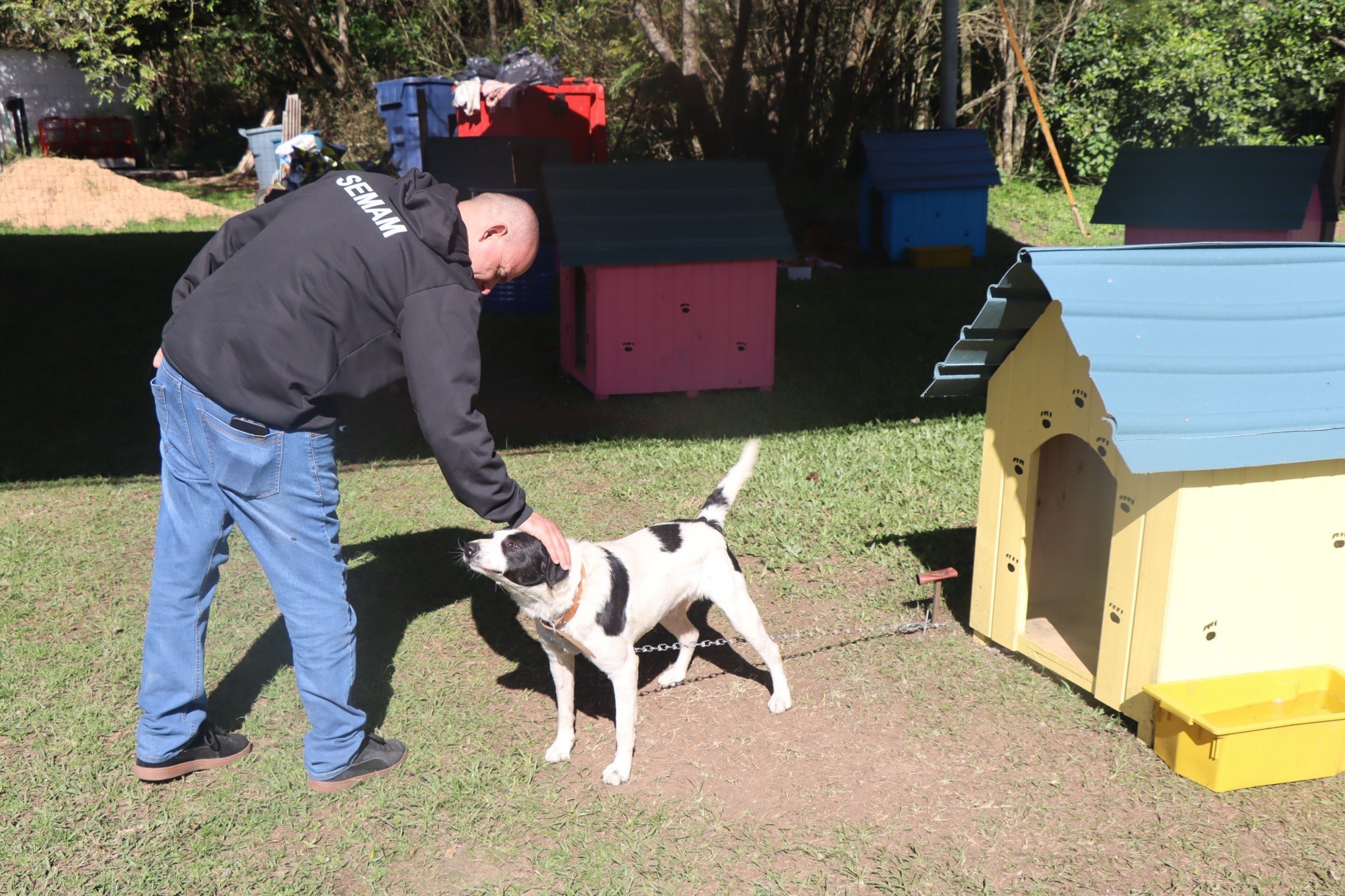 Cães resgatados na enchente e levados para Viamão são transferidos para Canil Municipal de Novo Hamburgo