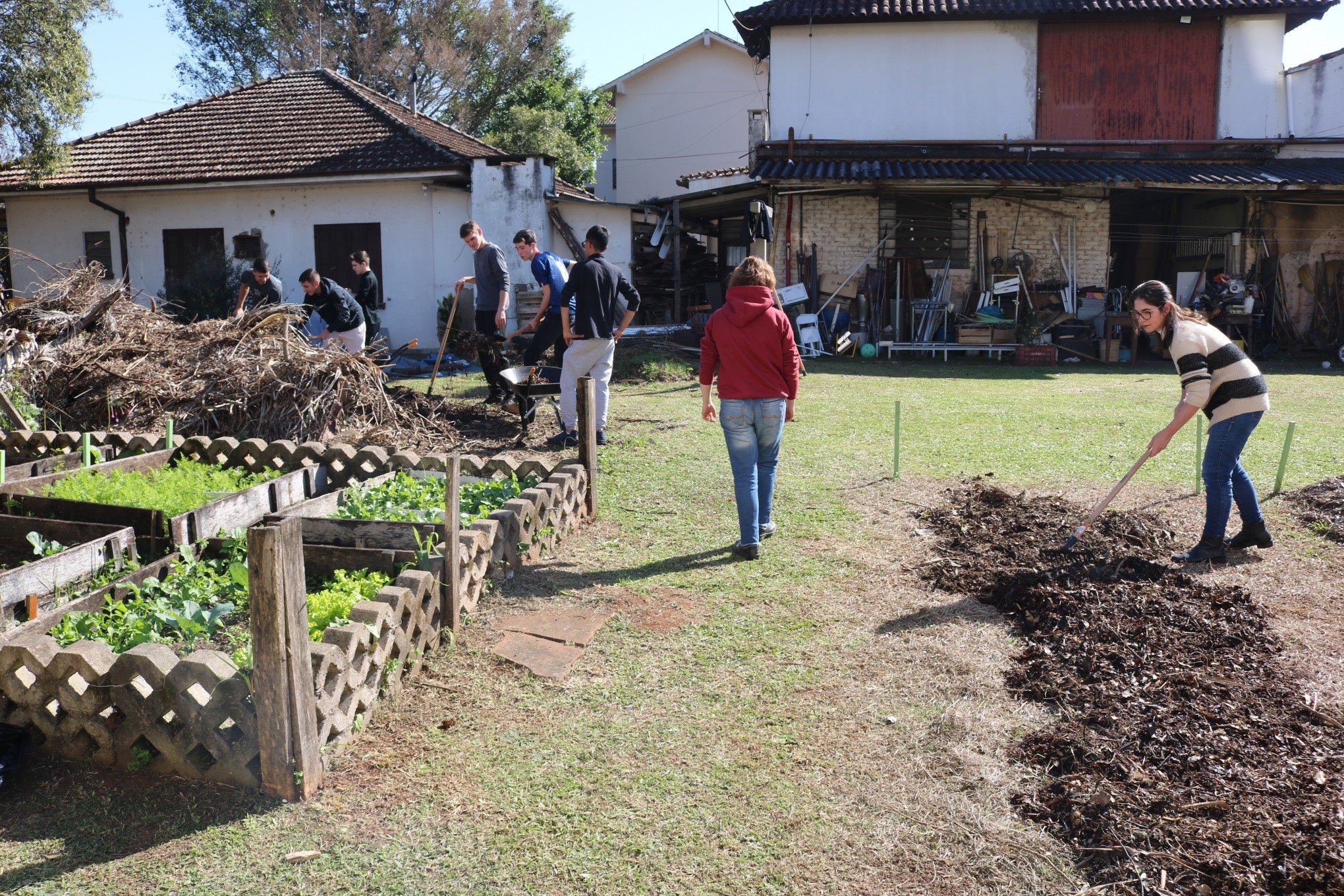 Canteiros para plantio de hortaliças ocupam área onde antes havia um gramado no pátio | abc+