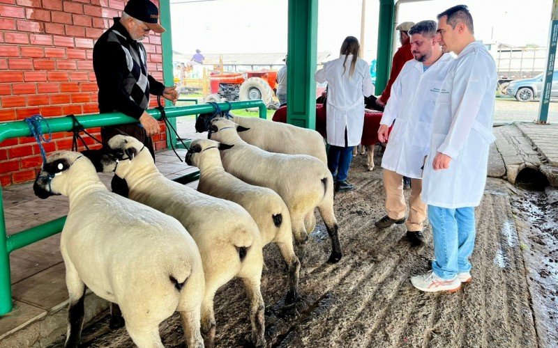 Animais passam por inspeção assim que chegam ao parque 