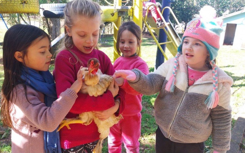 "Olha que legal, tem uma galinha no nosso quintal' é projeto da escola D.Pedro I, de Campo Bom