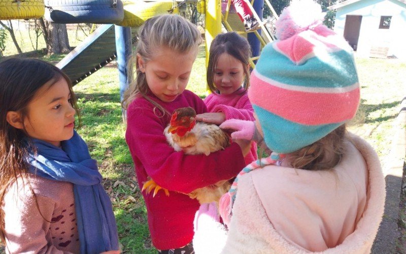 "Olha que legal, tem uma galinha no nosso quintal' é projeto da escola D.Pedro I, de Campo Bom