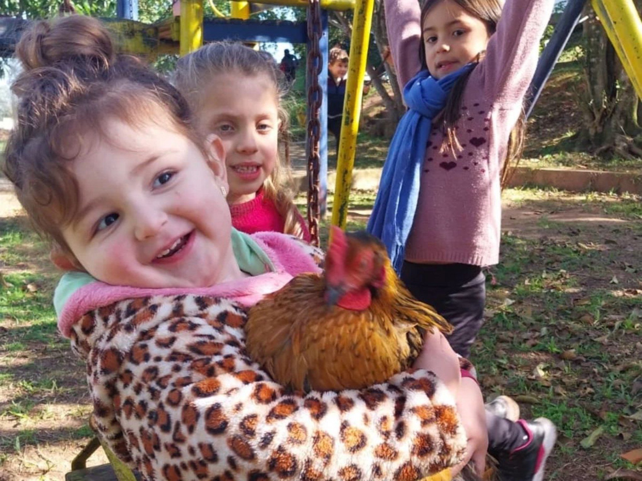 Galinha, lama e fabricação de papel coloca 3 escolas da região na final de concurso nacional