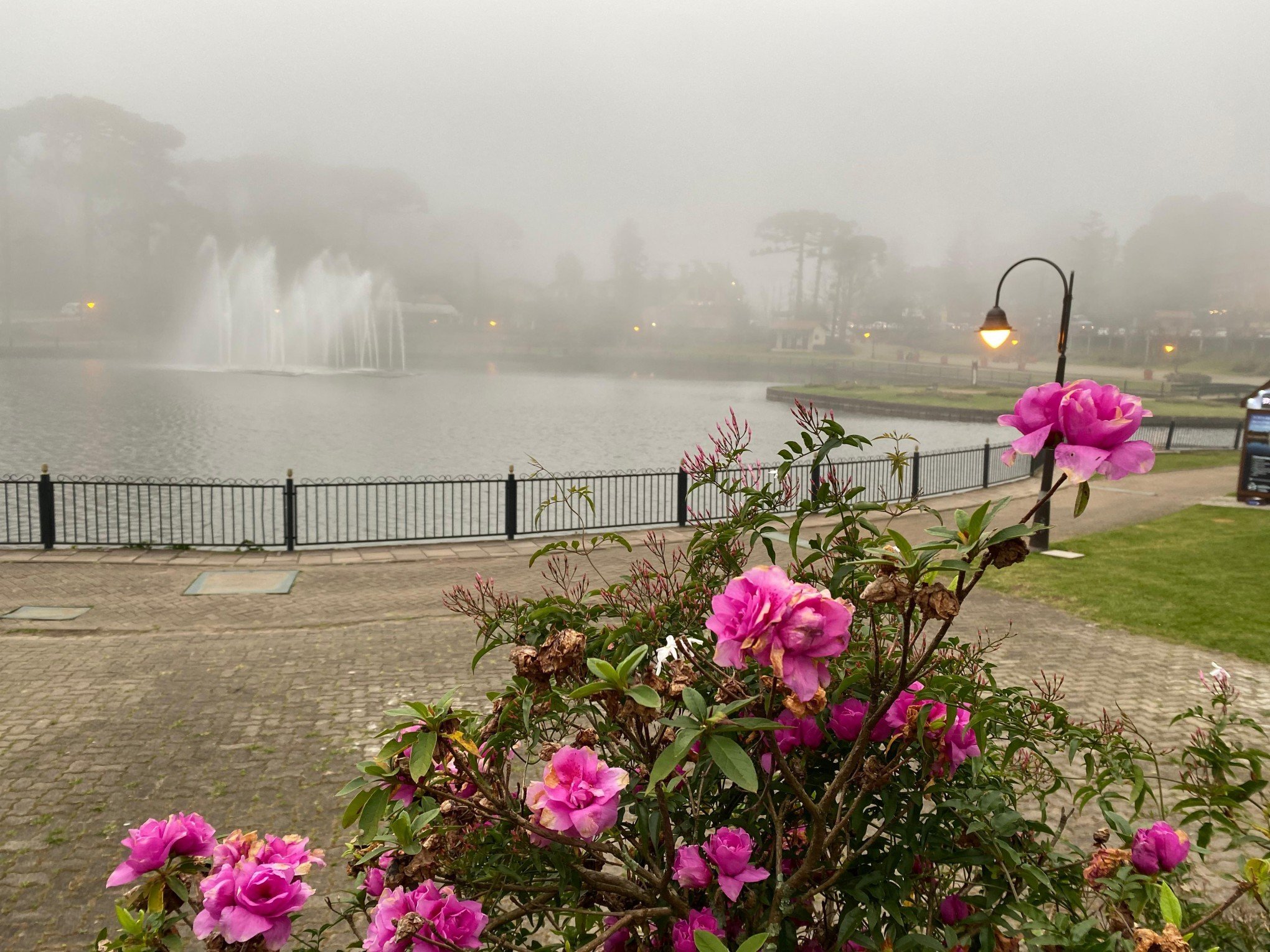 Gramado deve ter novo dia de chuva e abafamento nesta quarta-feira; veja em detalhes