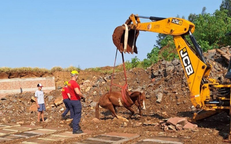 Cavalo foge e cai dentro de sepultura em cemitério do Vale do Sinos | abc+