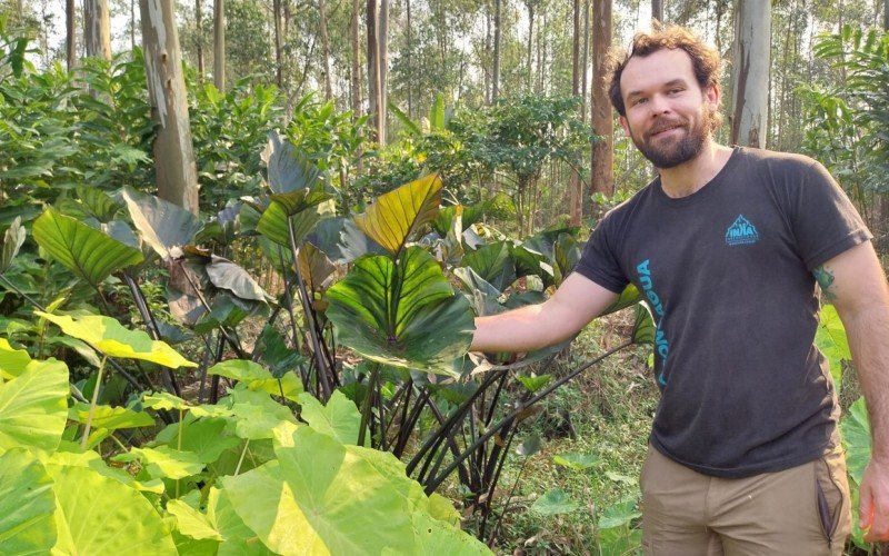 Henrique Heldt viveirista  com a colocasia Tea Cup