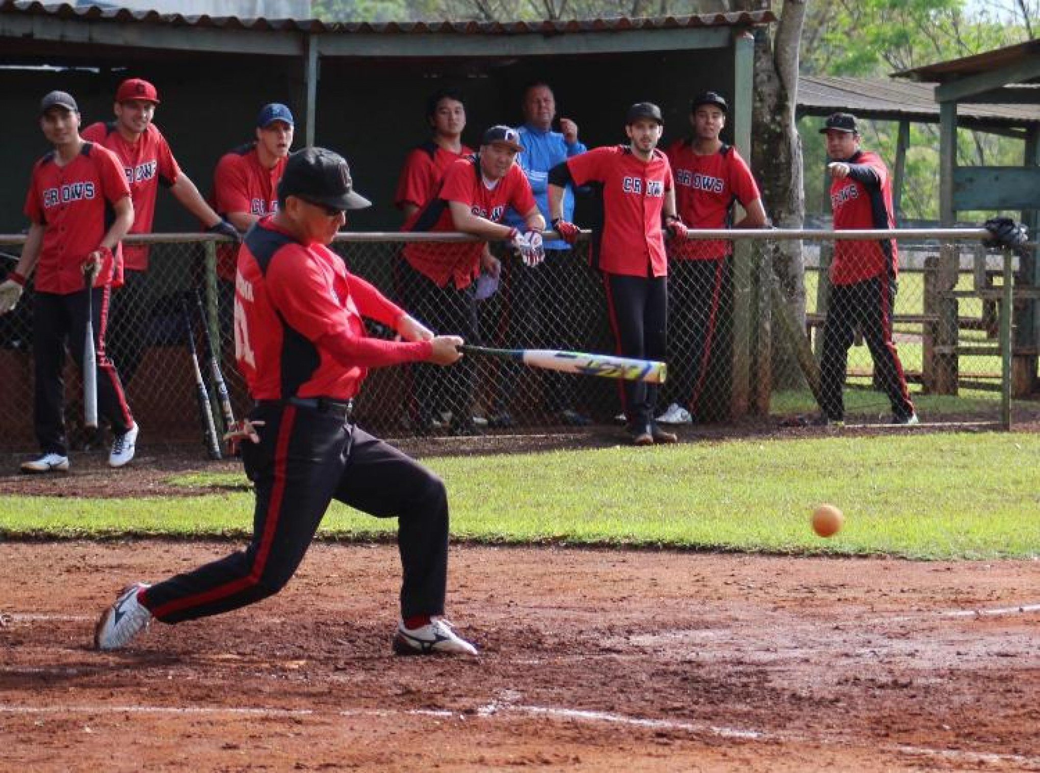 É do Vale do Sinos o único representante gaúcho no Campeonato Brasileiro de Softbol